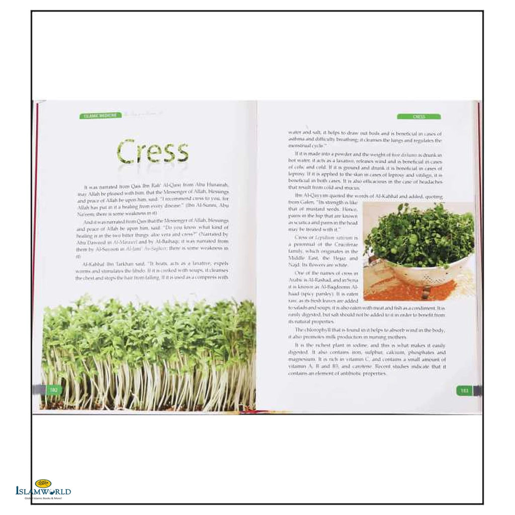 Islamic Medicine the Key to A Better Life - Buy Online In India