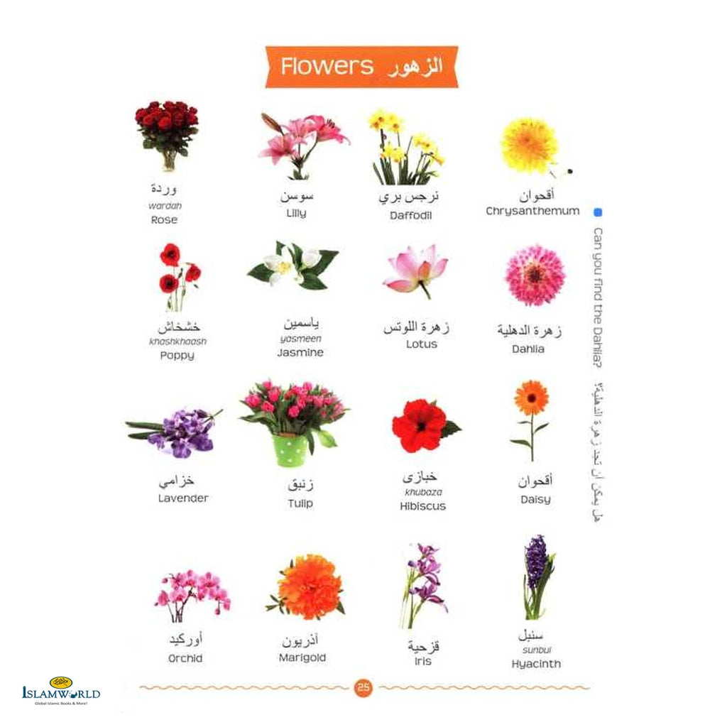 My First Arabic Words - Buy Online In India