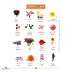 My First Arabic Words - Buy Online In India