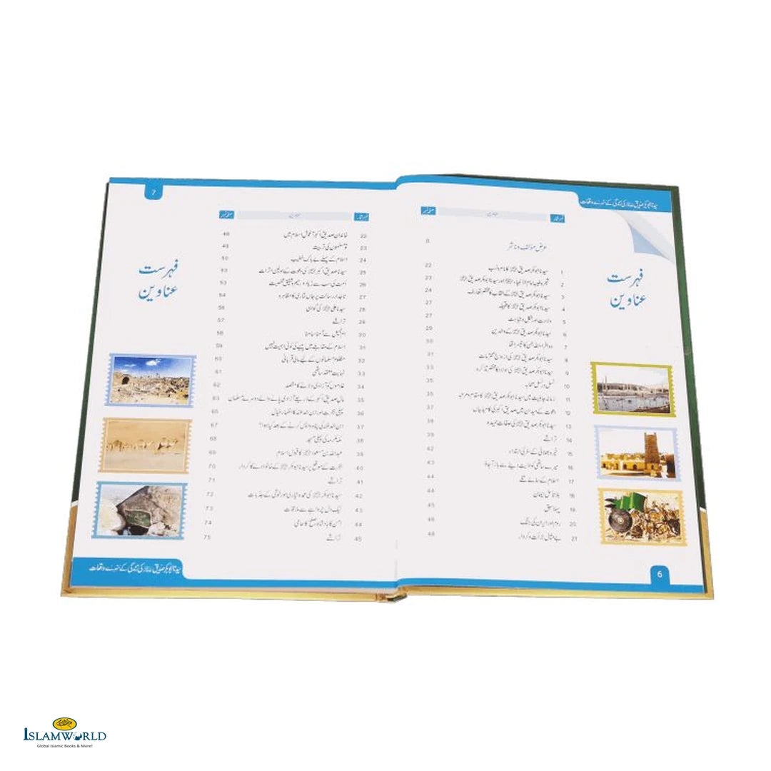 Sayedna Abu Bakr Siddique (RAZ) Ki Zindagi Ke Sunherey Waqiat (سیدنا ابو بکر صدیق ؓ کی زندگی کے سنہرے واقعات) - Buy Online In India