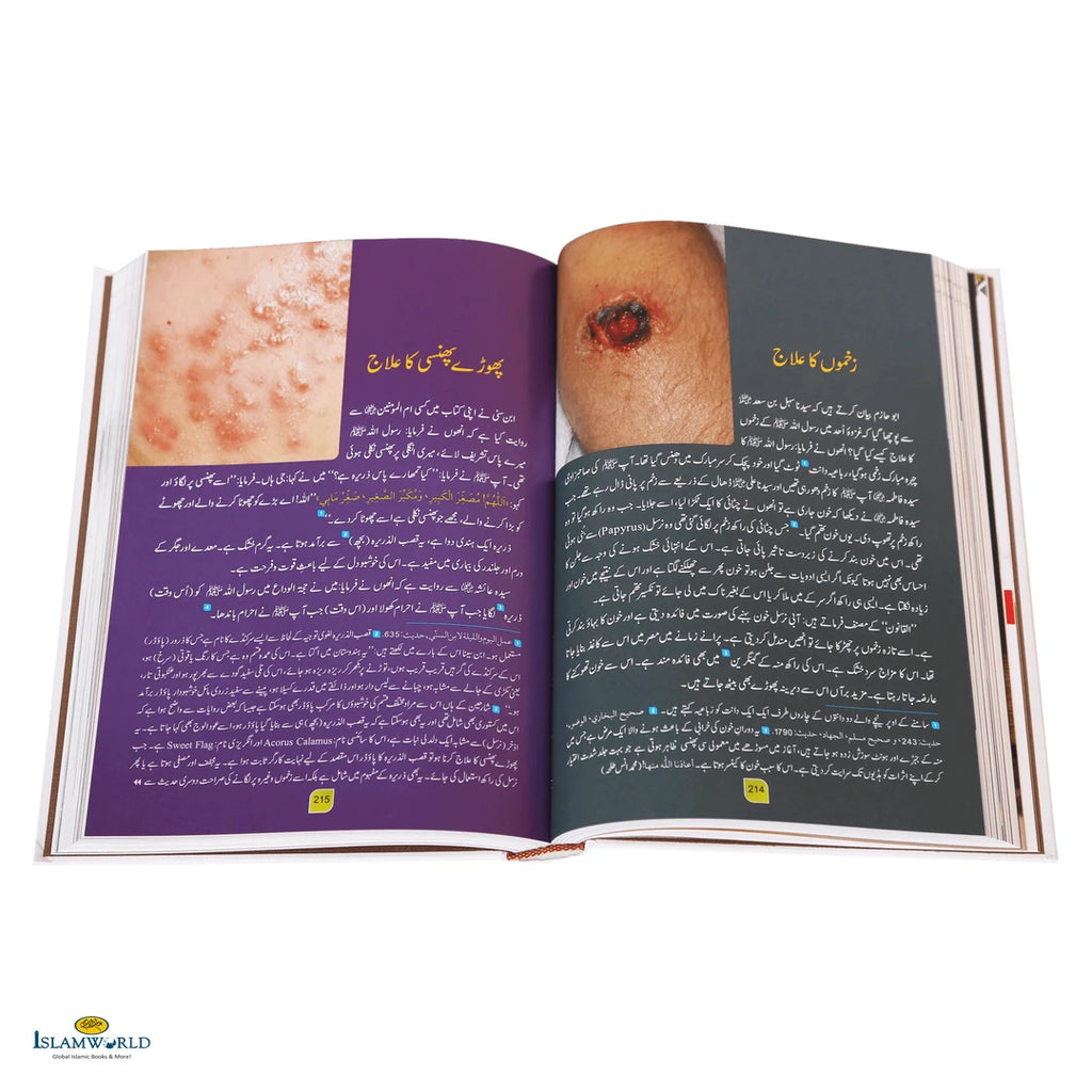 Tib-E-Nabvi(طب نبوی) - Buy Online In India