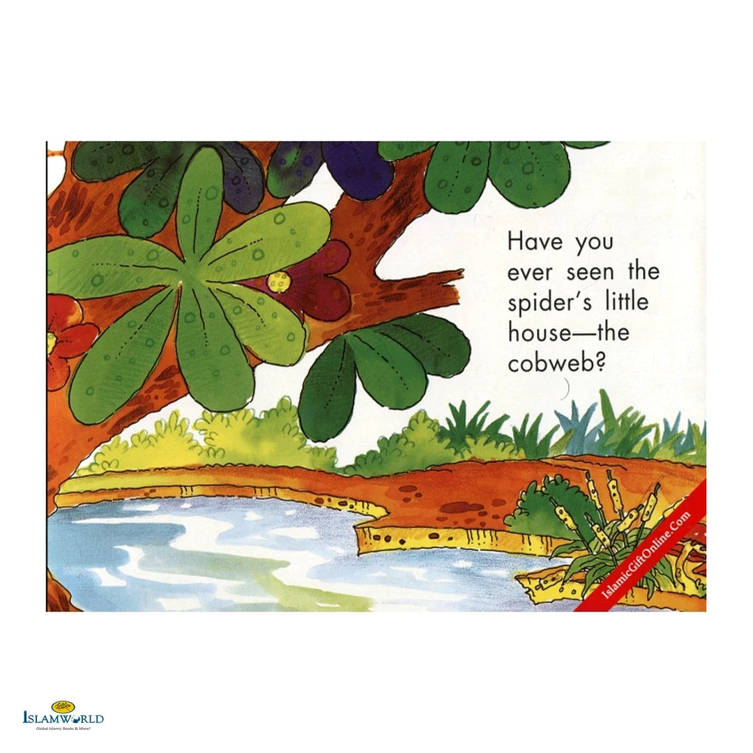 The Spider's House - Buy Online In India