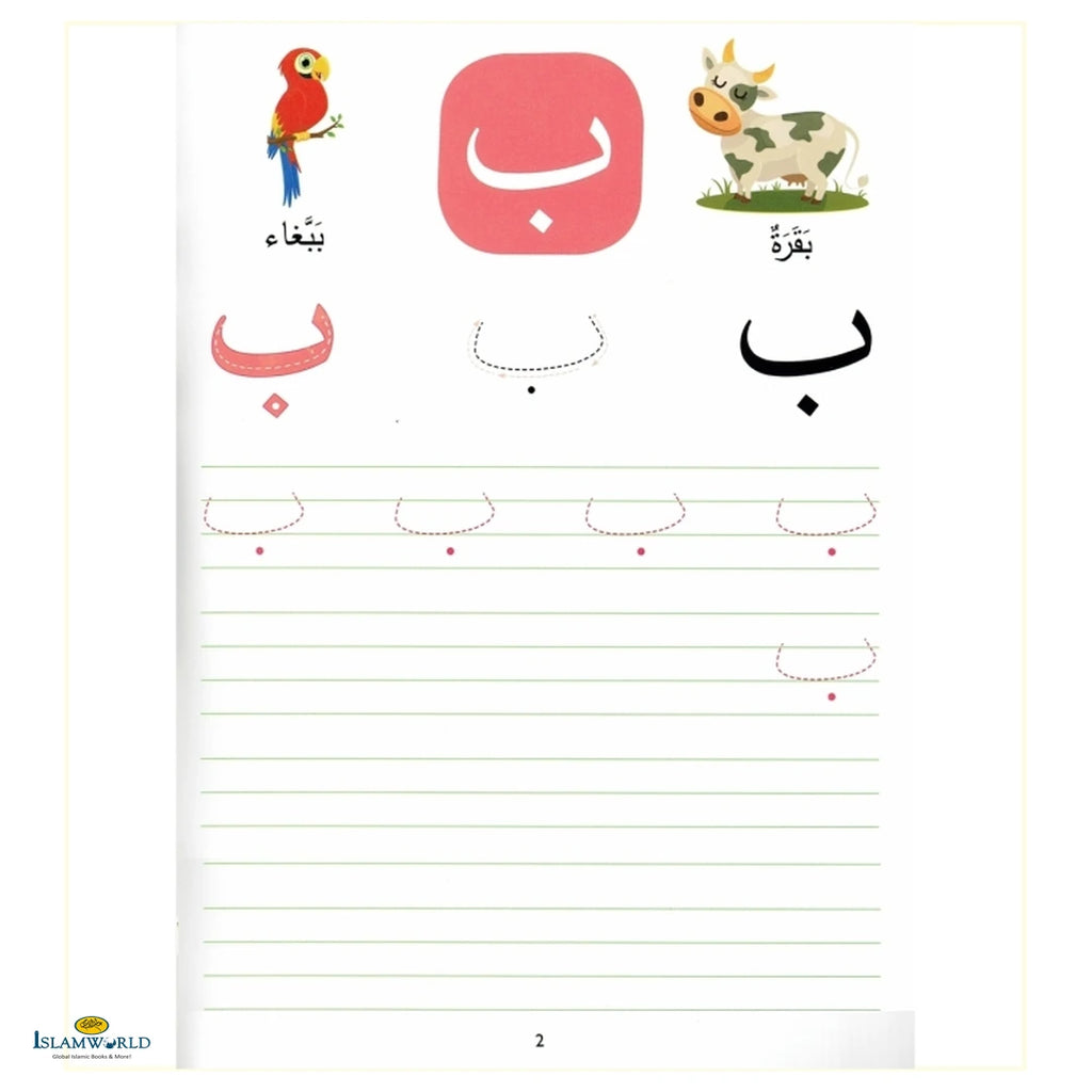 Wipe-Clean Arabic Alphabet - Buy Online In India
