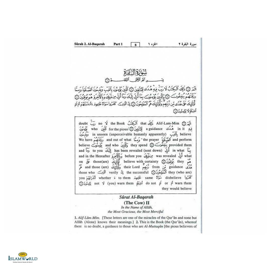 Study the Noble Quran (Word For Word)- (3 Vol.Set) - Buy Online In India