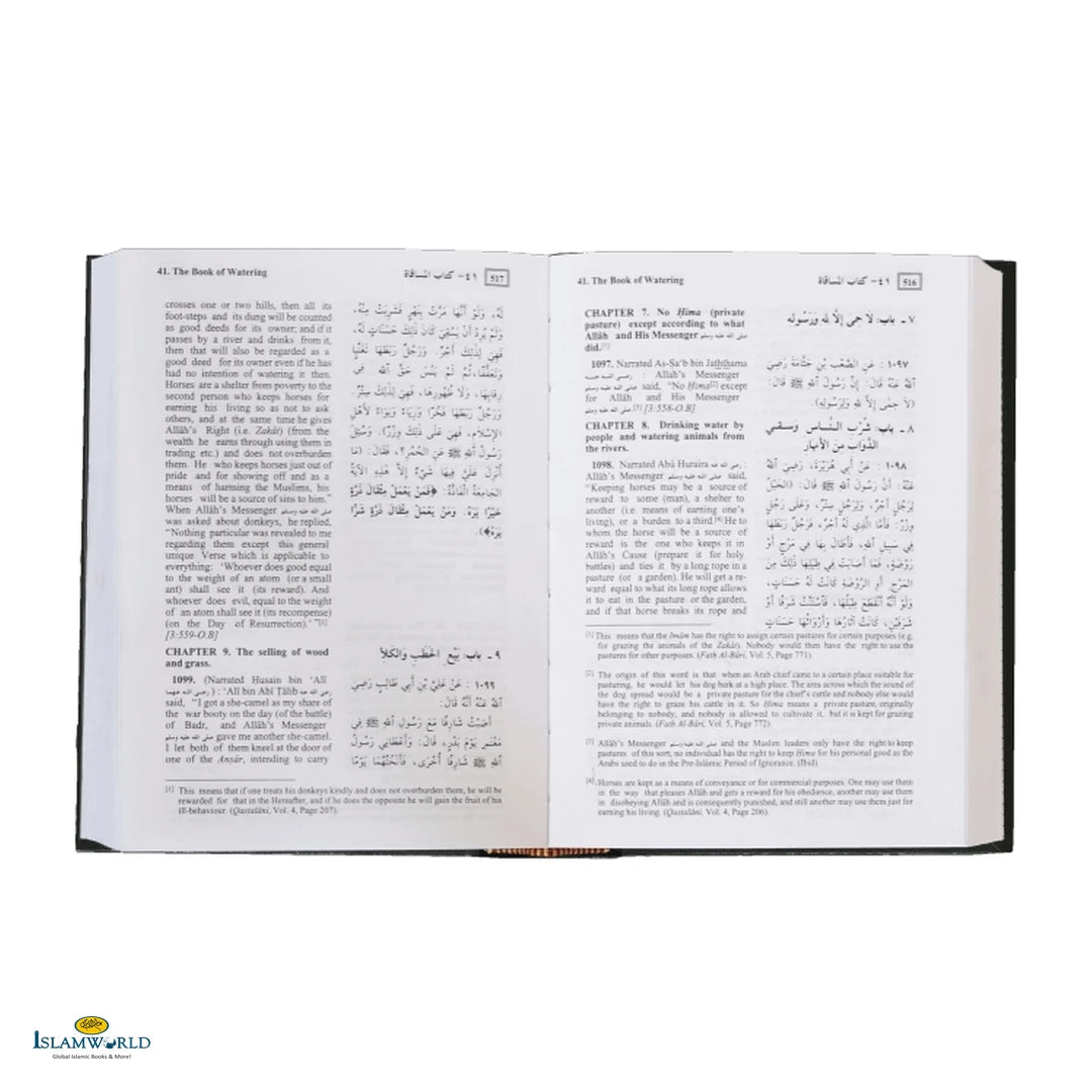 Summarized Sahih Al-Bukhari - Medium Size - Buy Online In India
