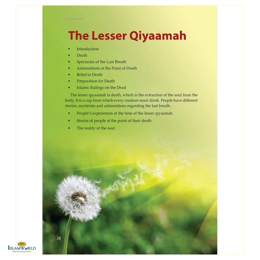 The Last World- A Description Of The Signs Of The Hour, Barzakh And The Hereafter From The Quran And Sunnah - Buy Online In India