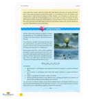 The Clear Quran for Kids (Softback) Surah 29 to 48 : Dr. Mustafa Khattab - Buy Online In India