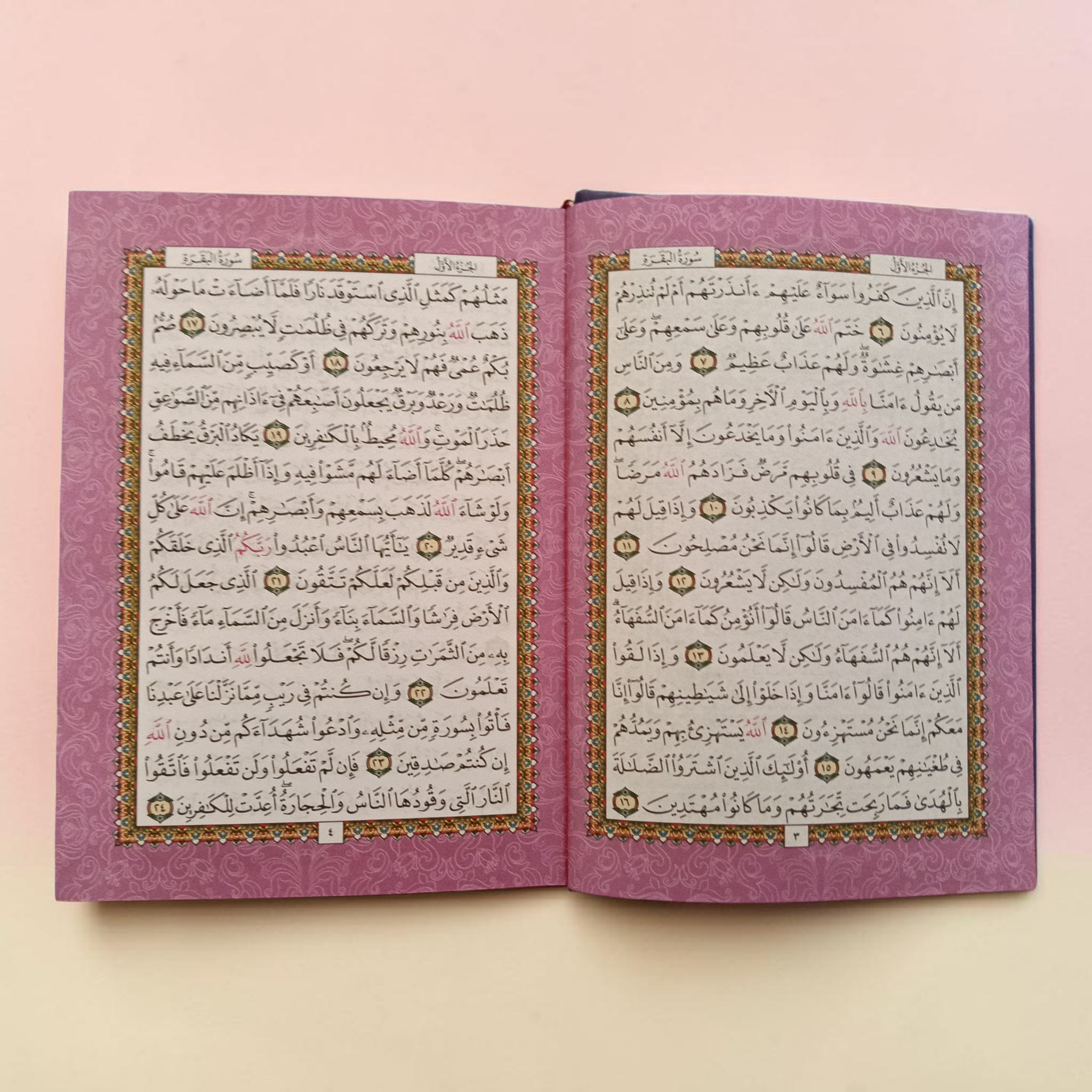 Rainbow Quran Usmani Dark Purple