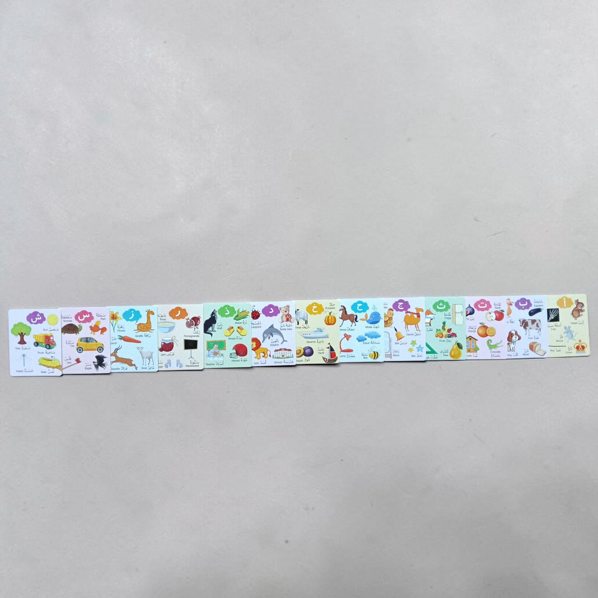 Kid's box Arabic Learning