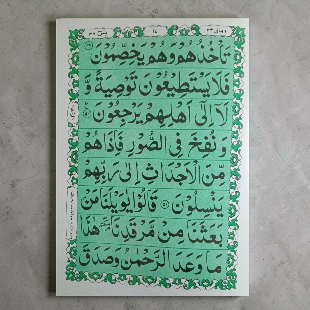Surah Yasin 8 lines