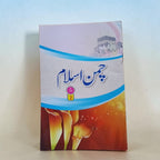 Jaan-e-Islam 2