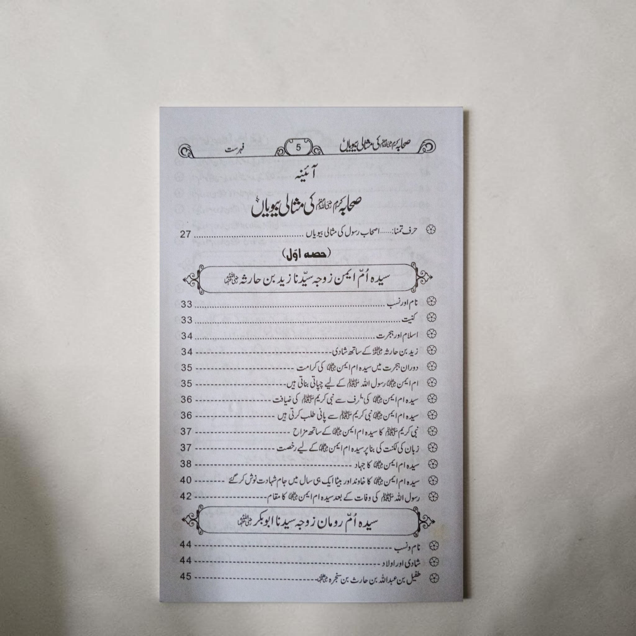 Sahaba Karam Ki Misali Biwiyan