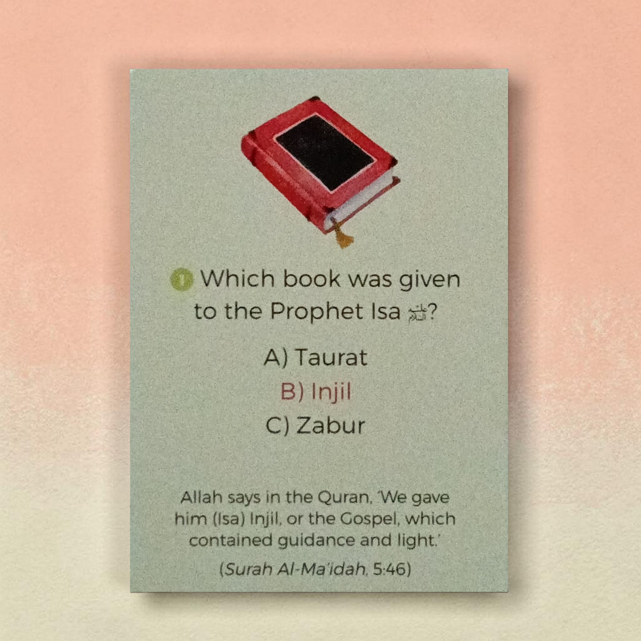 Quran Quiz Display Box - 24 Packs