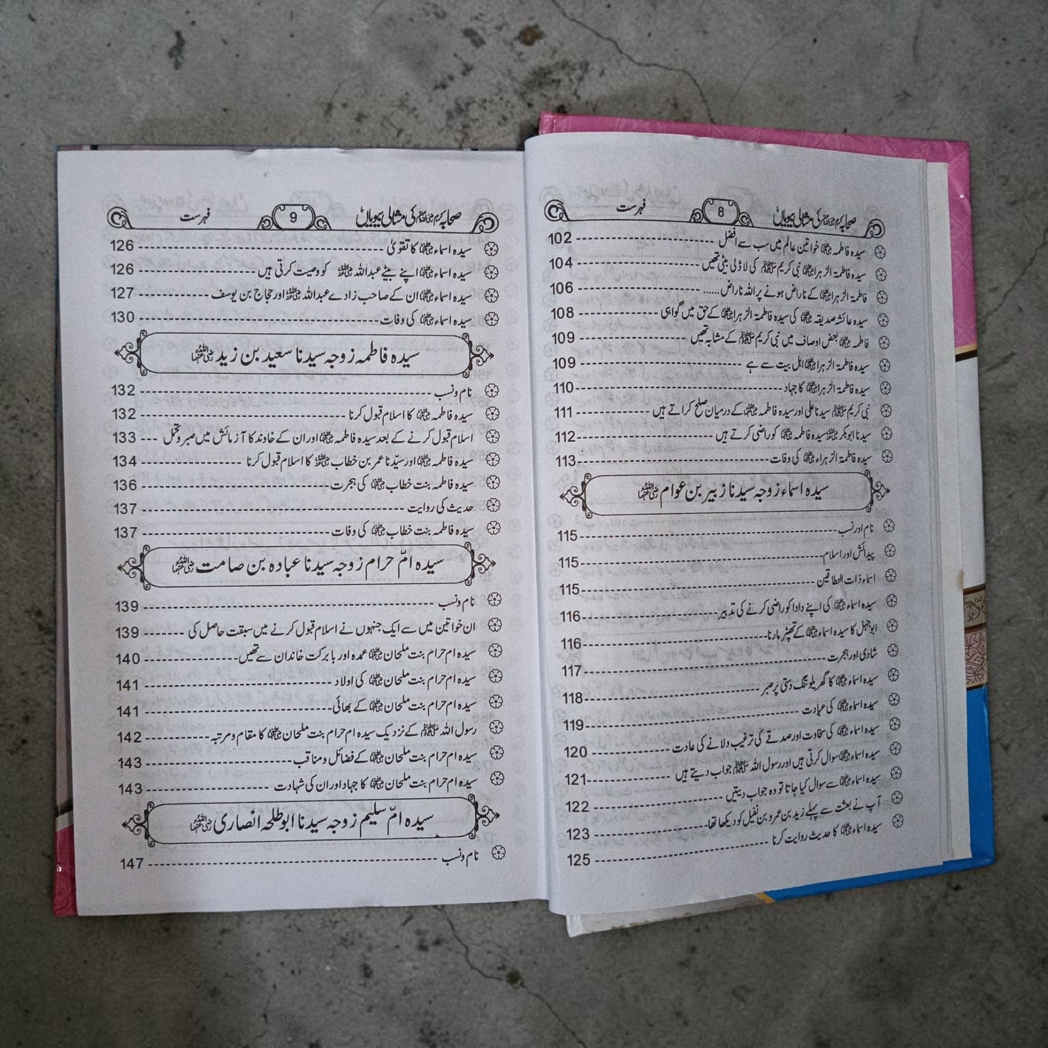Sahaba Karam Ki Misali Biwiyan
