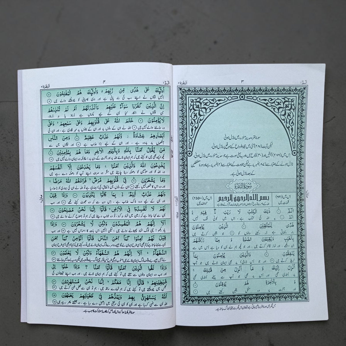 Riyazul Quran para set IBS