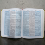 The Holy Quran (Urdu In Roman Script)