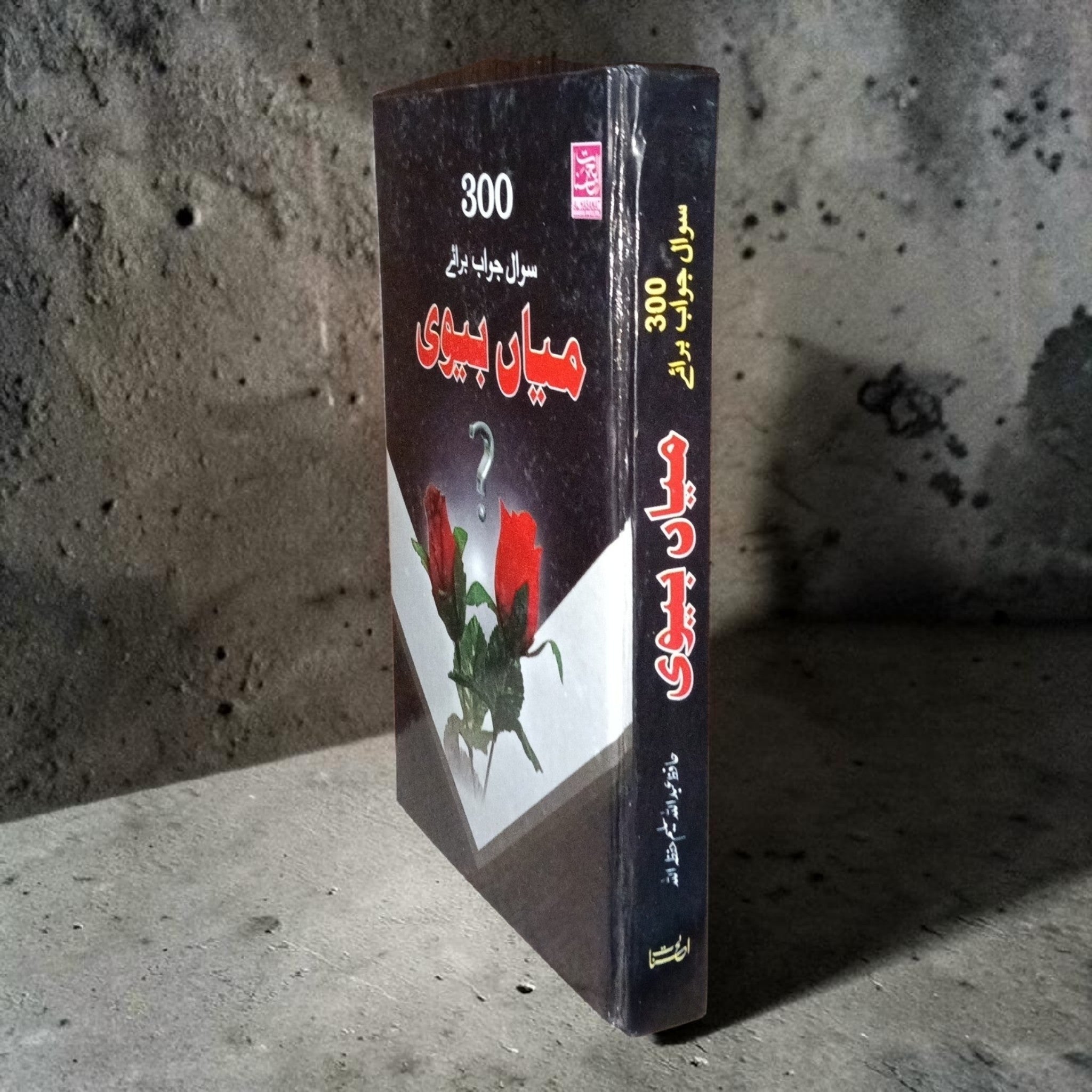 300 Sawal Jawab Braye Miya Biwi
