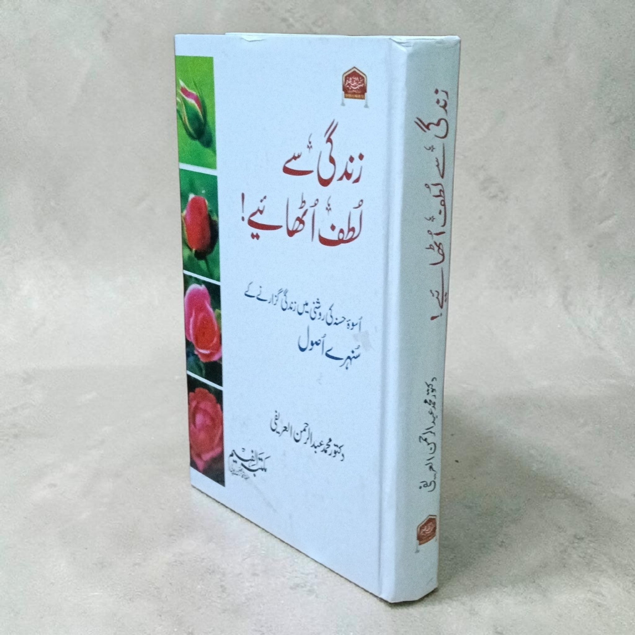 Zindagi se Lutf Uthaiye