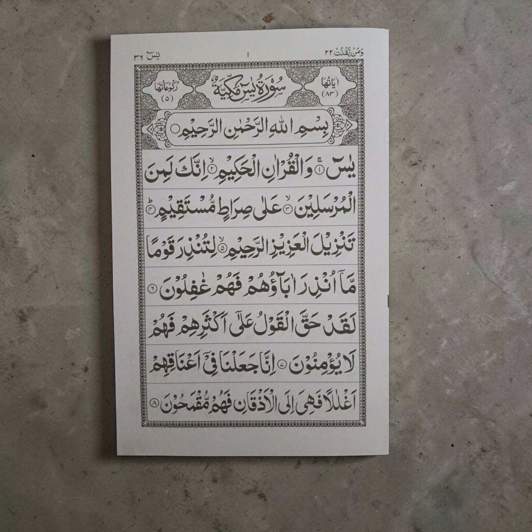 Surah Yasin 9 Lines