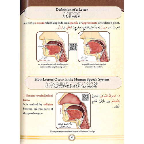 Illustrated Tajweed التجويد المصور